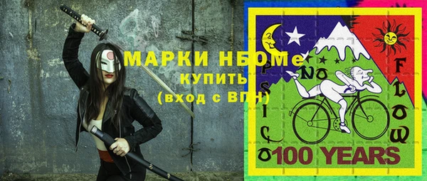 хмурый Богородицк