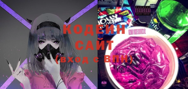 хмурый Богородицк