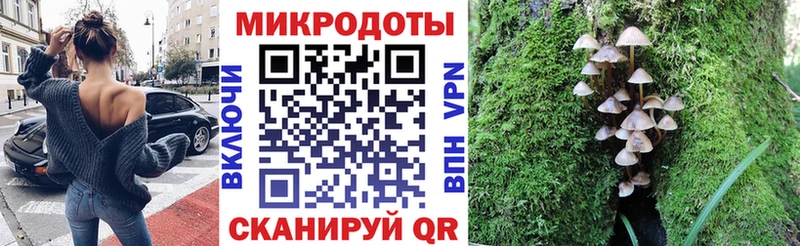 где можно купить   дарк нет какой сайт  Галлюциногенные грибы мухоморы  Верхотурье 